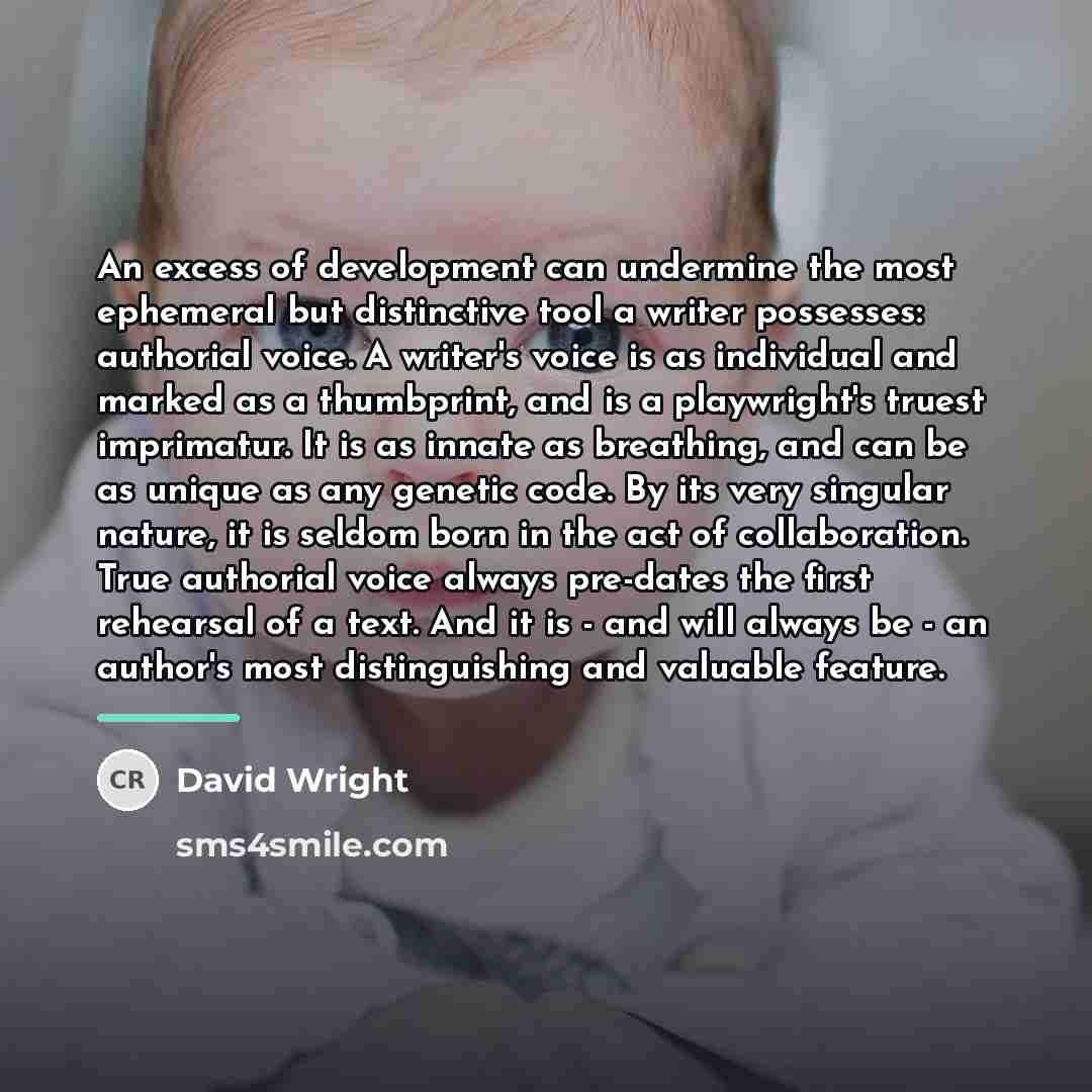“An excess of development can undermine the most ephemeral but…” quote by David Wright