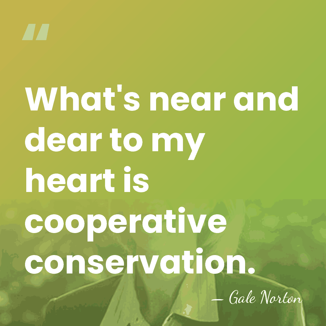 What's near and dear to my heart is cooperative conservation. - Gale Norton
