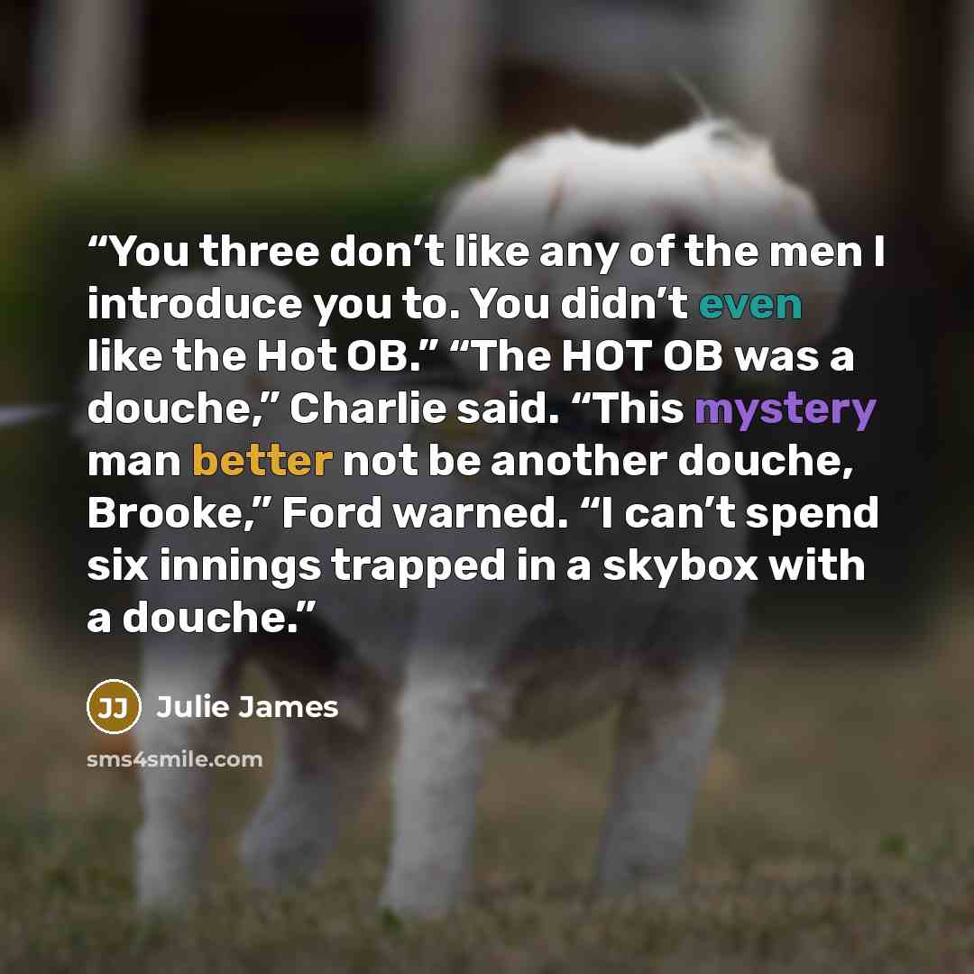 “You three don’t like any of the men I introduce you to. You didn’t even like the Hot OB.” “The HOT OB was a douche,” Charlie said. “This mystery man better not be another douche, Brooke,” Ford warned. “I can’t spend six innings trapped in a skybox with a douche.” quote by Julie James