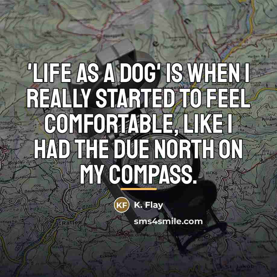 “'Life as a Dog' is when I really started to…” quote by K. Flay