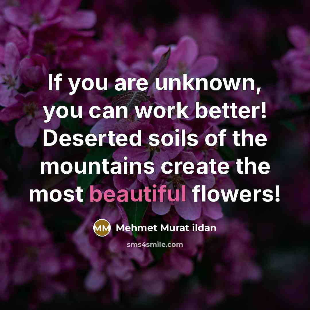 “If you are unknown, you can work better! Deserted soils…” quote by Mehmet Murat Ildan