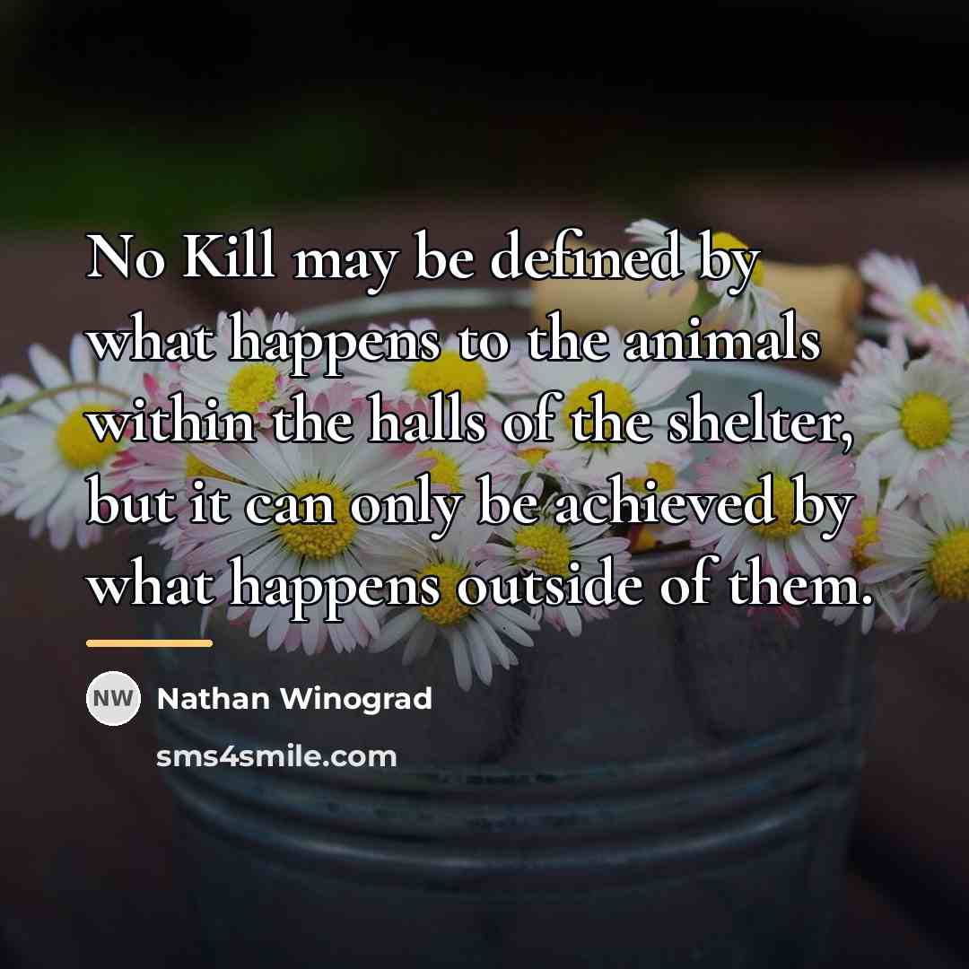 “No Kill may be defined by what happens to the…” quote by Nathan Winograd