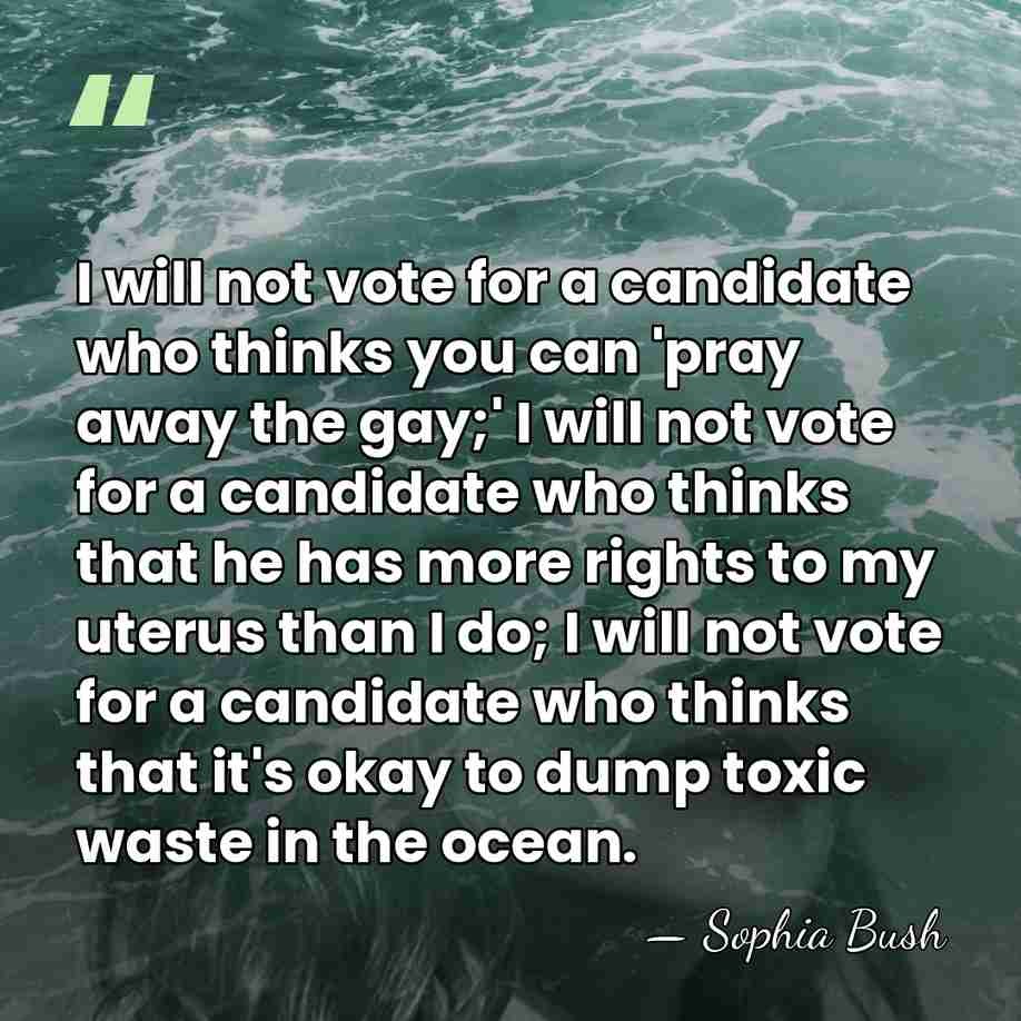 I will not vote for a candidate who thinks you can 'pray&hellip; - Sophia Bush