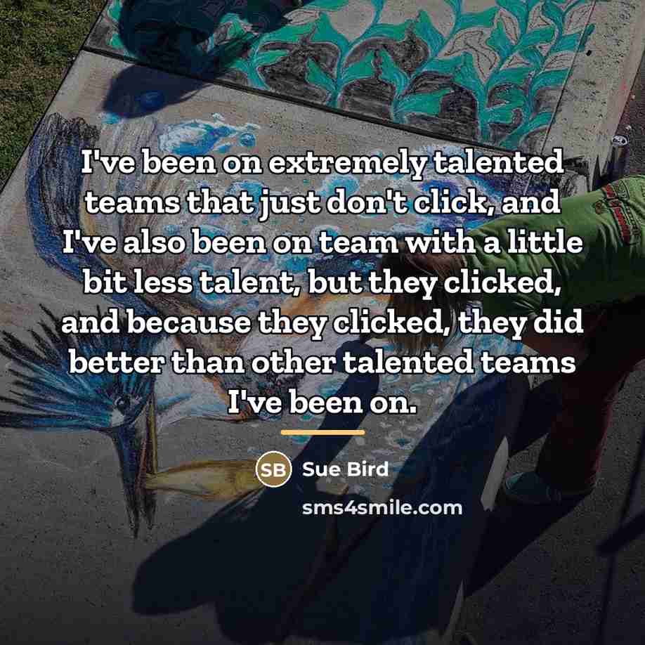 “I've been on extremely talented teams that just don't click,…” quote by Sue Bird