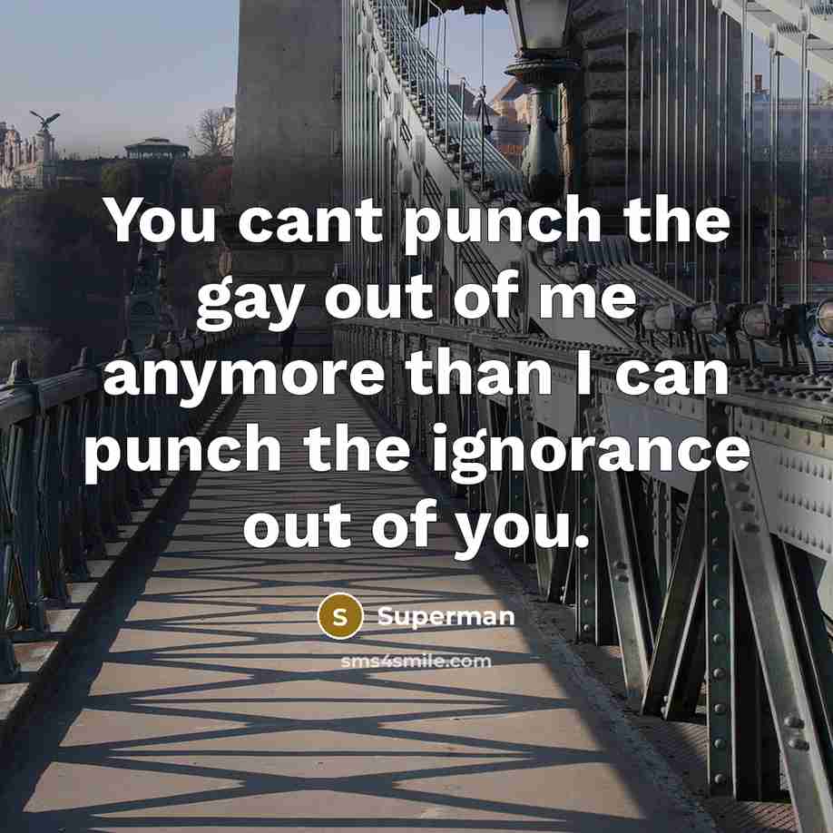 “You cant punch the gay out of me anymore than…” quote by Superman