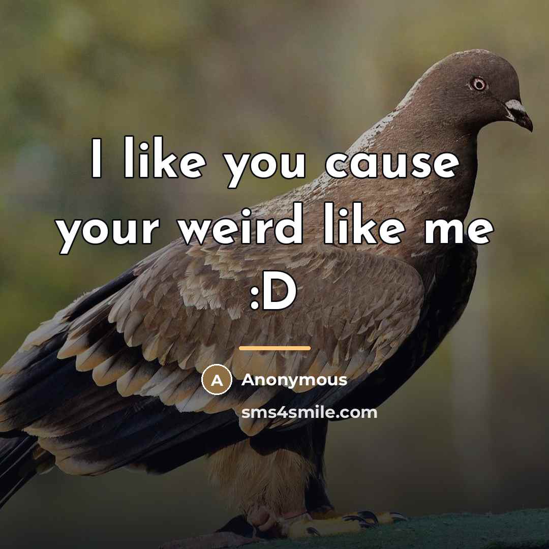 “I like you cause your weird like me :D…” quote by Anonymous