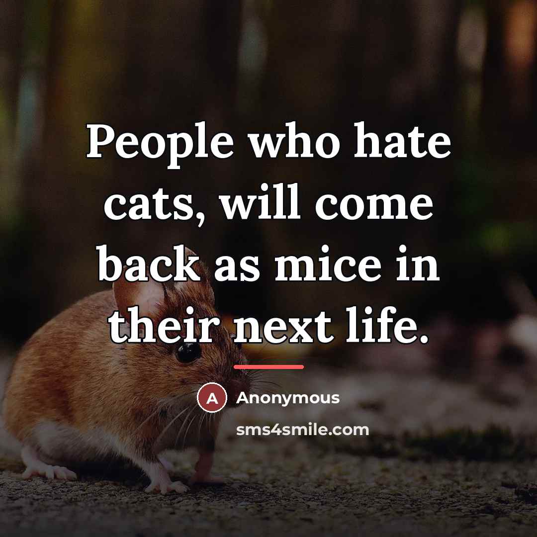 “People who hate cats, will come back as mice in…” quote by Anonymous