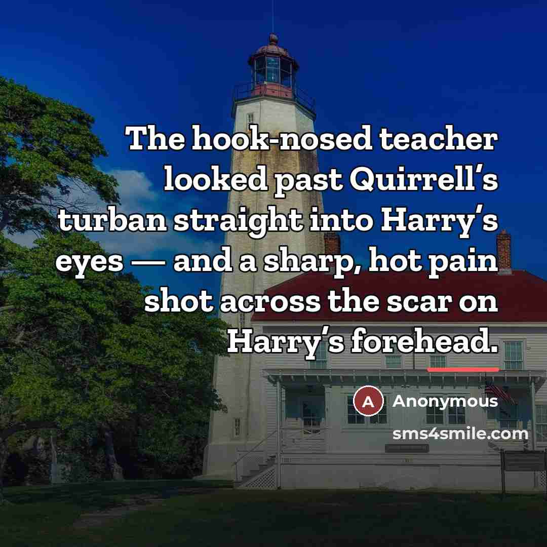 “The hook-nosed teacher looked past Quirrell’s turban straight into Harry’s…” quote by Anonymous