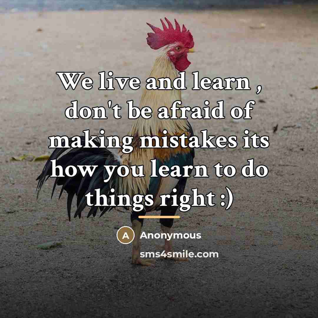 “We live and learn , don't be afraid of making…” quote by Anonymous