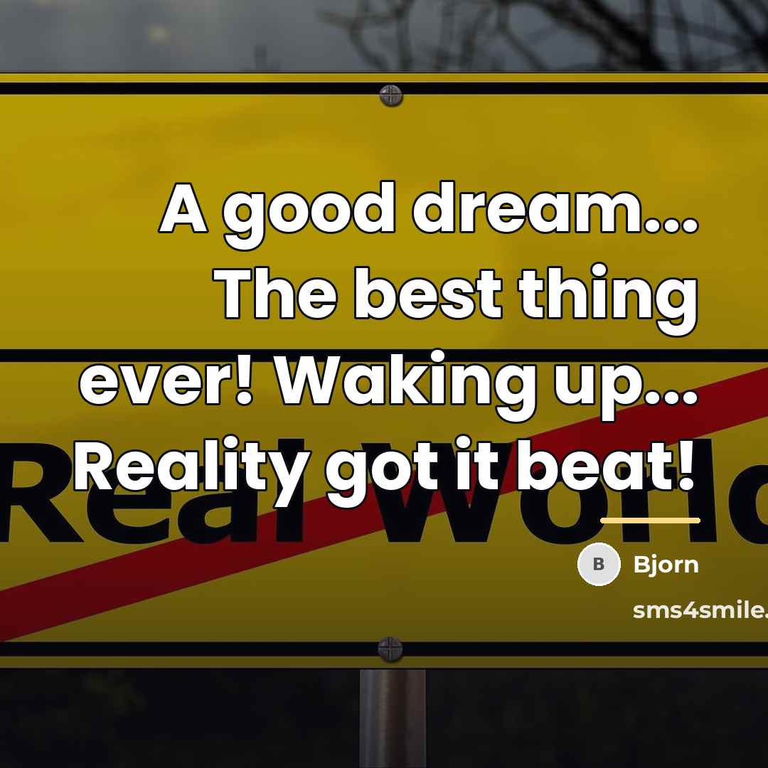 “A good dream... The best thing ever! Waking up... Reality…” quote by Bjorn