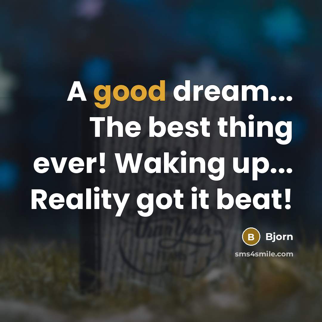 “A good dream... The best thing ever! Waking up... Reality got it beat!” quote by Bjorn