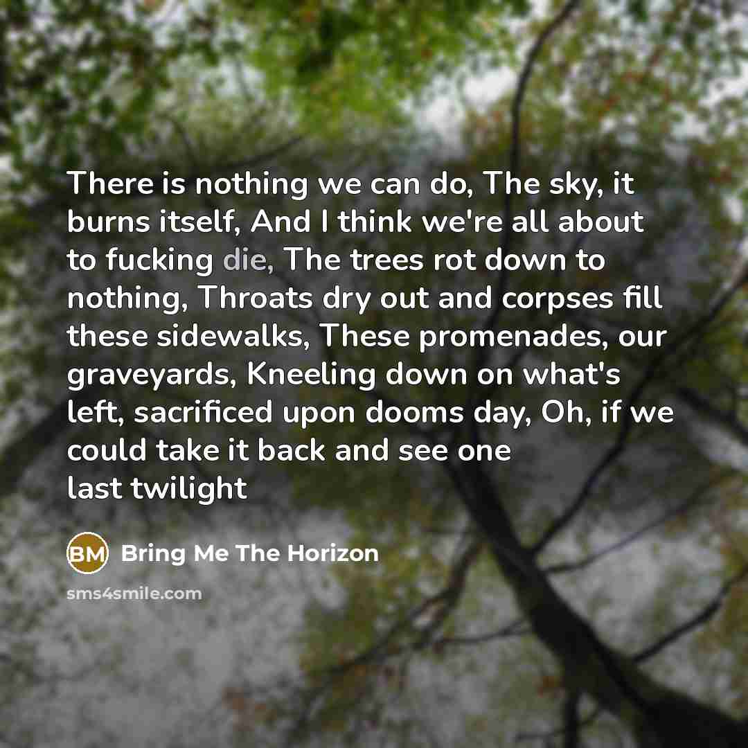 “There is nothing we can do, The sky, it burns…” quote by Bring Me The Horizon