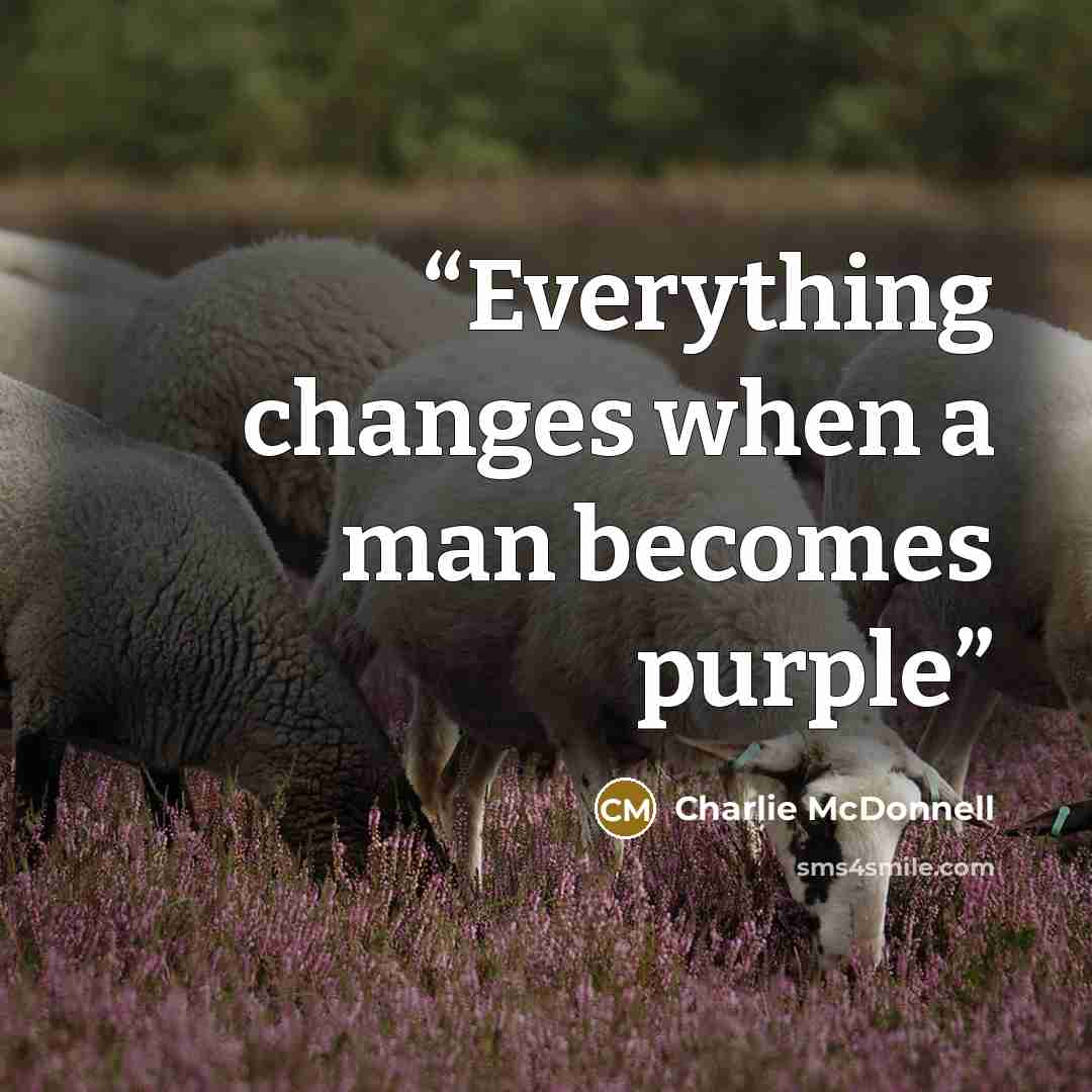 “Everything changes when a man becomes purple” quote by Charlie McDonnell