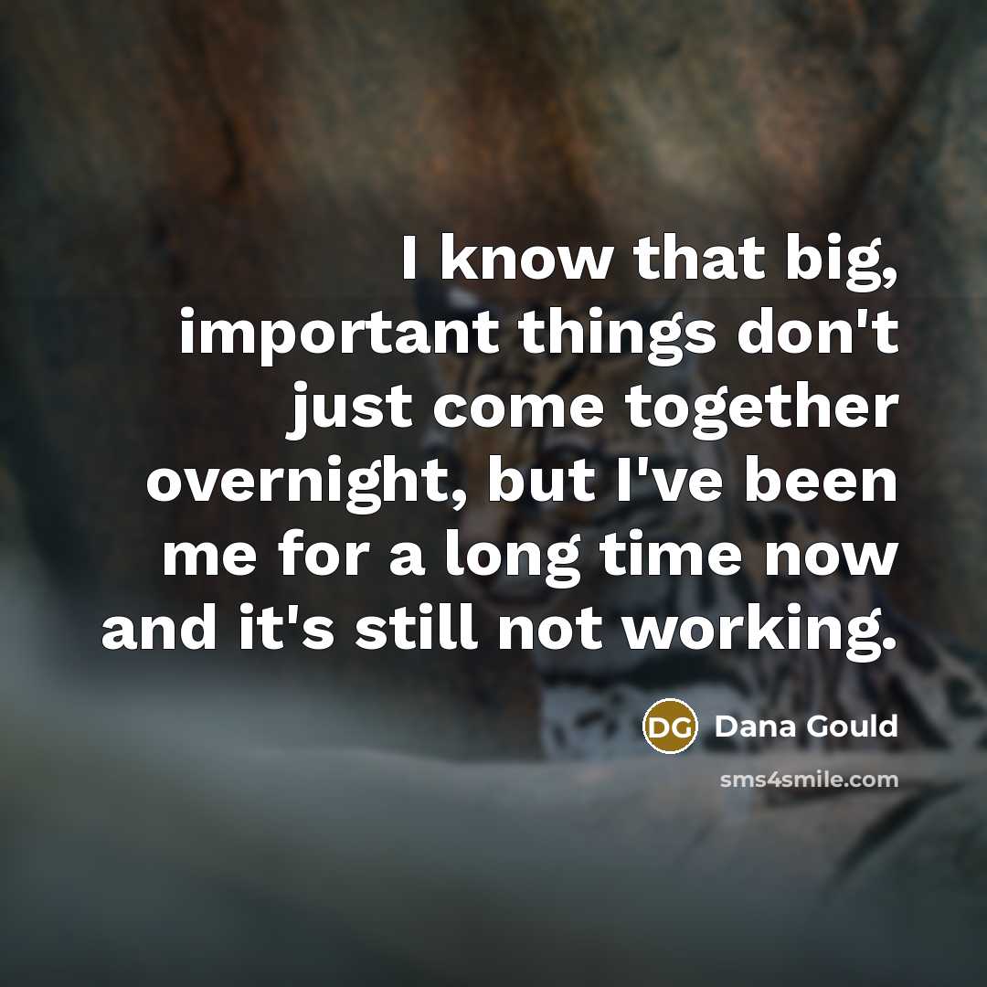 “I know that big, important things don't just come together…” quote by Dana Gould