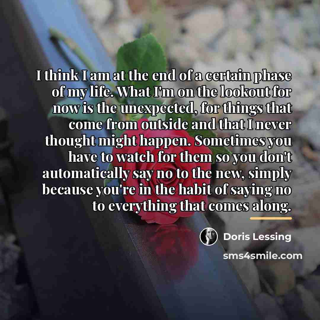 “I think I am at the end of a certain…” quote by Doris Lessing