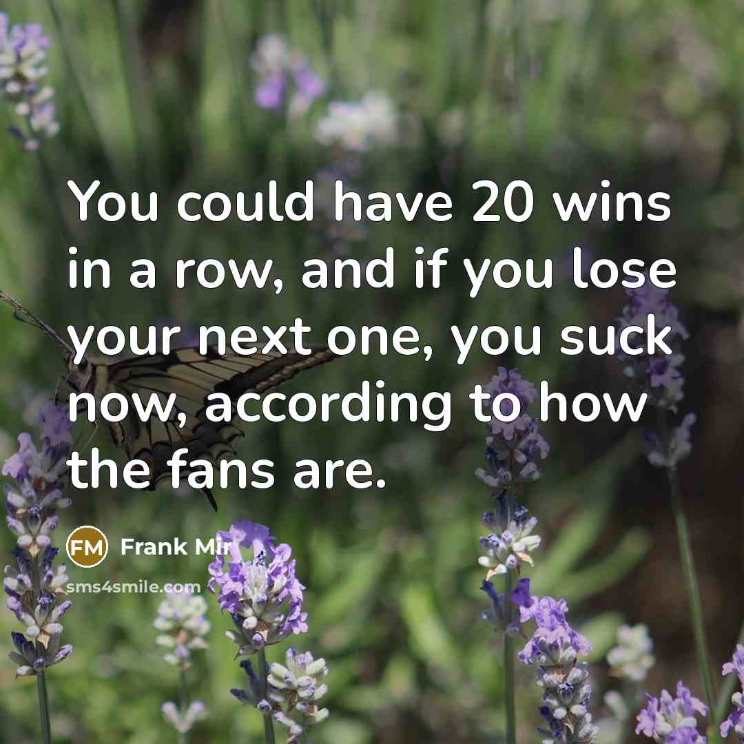 “You could have 20 wins in a row, and if…” quote by Frank Mir