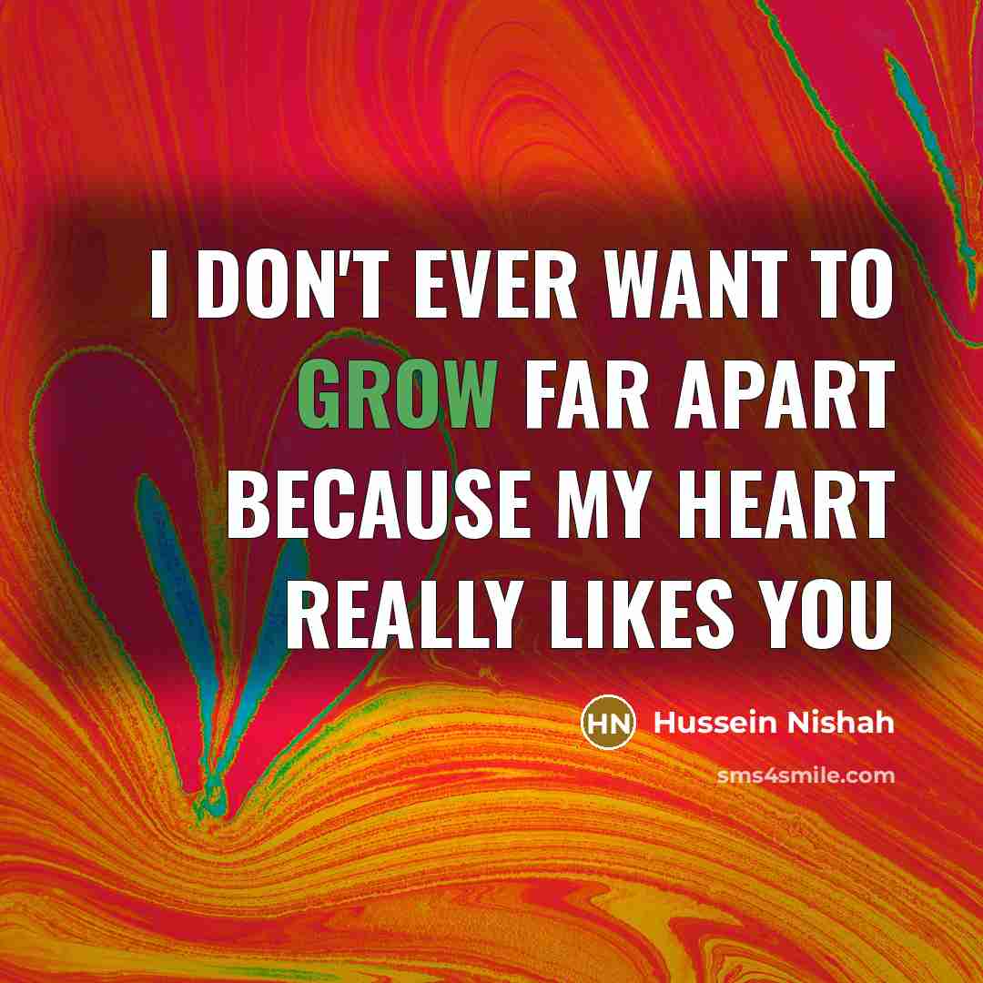“I don't ever want to grow far apart because my…” quote by Hussein Nishah