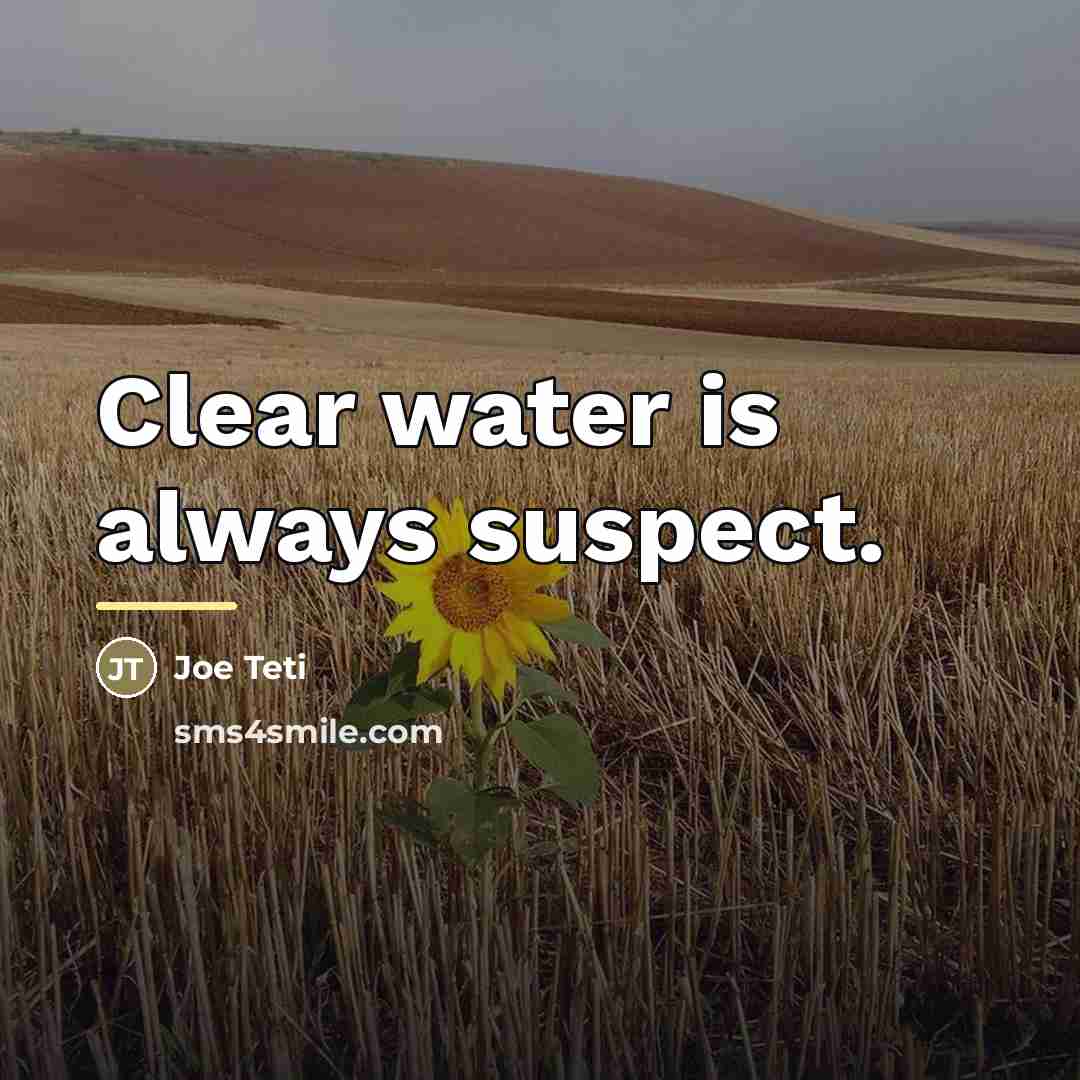 “Clear water is always suspect.…” quote by Joe Teti