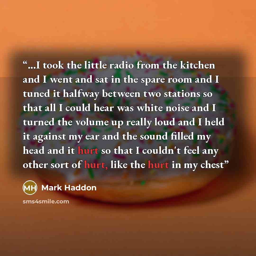“...I took the little radio from the kitchen and I went and sat in the spare room and I tuned it halfway between two stations so that all I could hear was white noise and I turned the volume up really loud and I held it against my ear and the sound filled my head and it hurt so that I couldn't feel…” quote by Mark Haddon