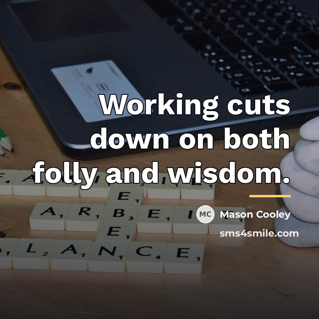 “Working cuts down on both folly and wisdom.…” quote by Mason Cooley