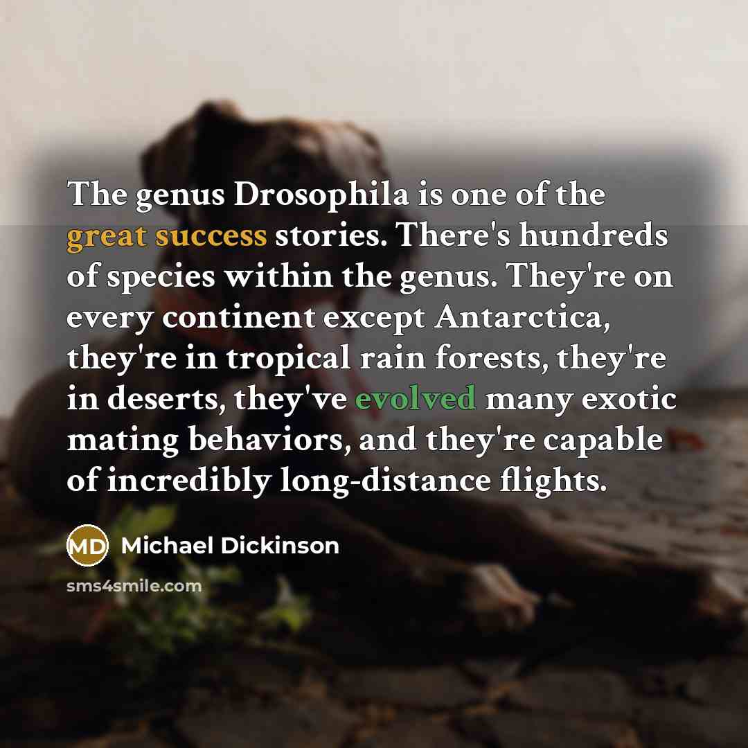 “The genus Drosophila is one of the great success stories.…” quote by Michael Dickinson