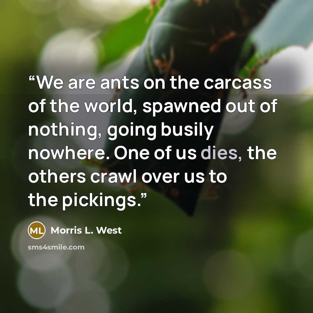 “We are ants on the carcass of the world, spawned out of nothing, going busily nowhere. One of us dies, the others crawl over us to the pickings.” quote by Morris L. West