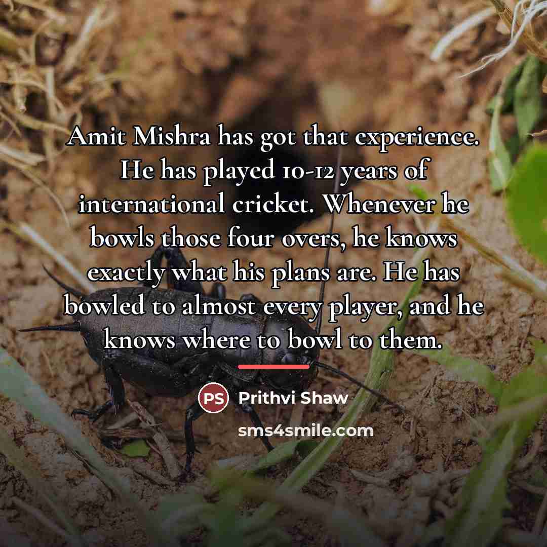 “Amit Mishra has got that experience. He has played 10-12…” quote by Prithvi Shaw