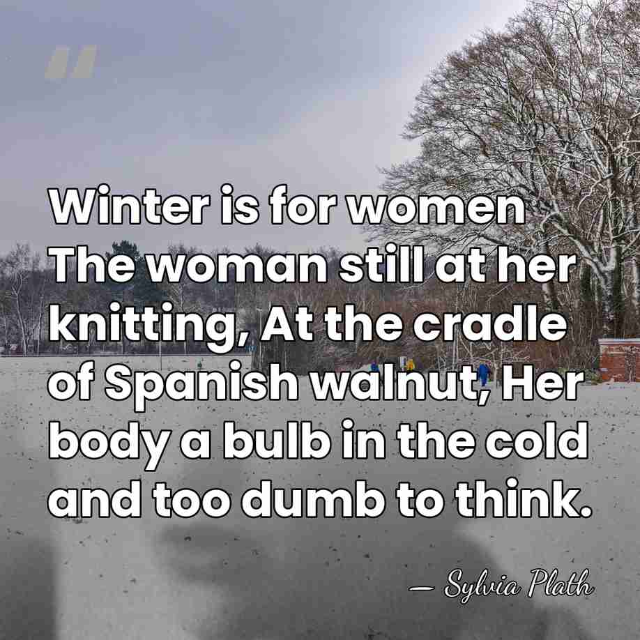 Winter is for women The woman still at her knitting, At the&hellip; - Sylvia Plath