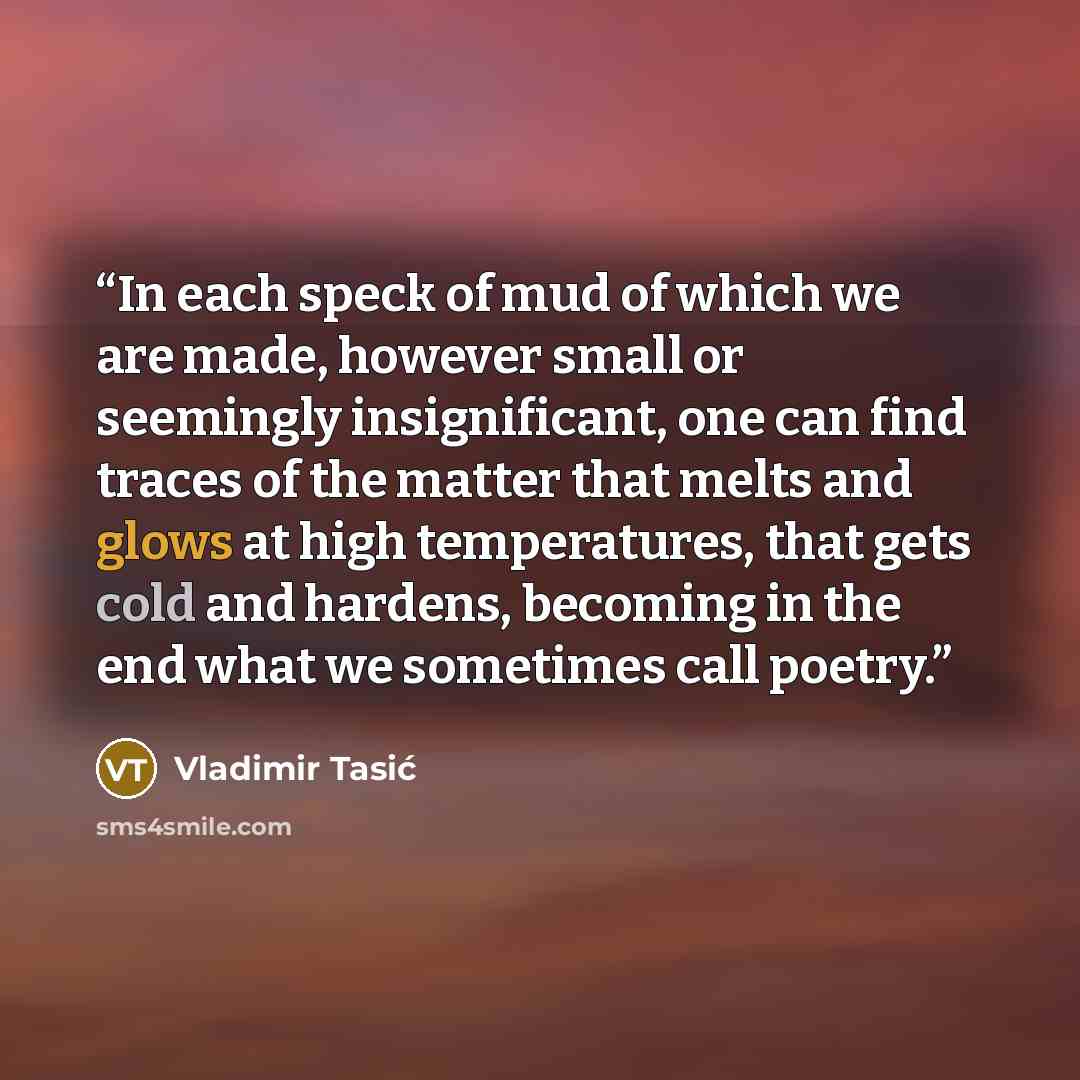 “In each speck of mud of which we are made, however small or seemingly insignificant, one can find traces of the matter that melts and glows at high temperatures, that gets cold and hardens, becoming in the end what we sometimes call poetry.” quote by Vladimir Tasić