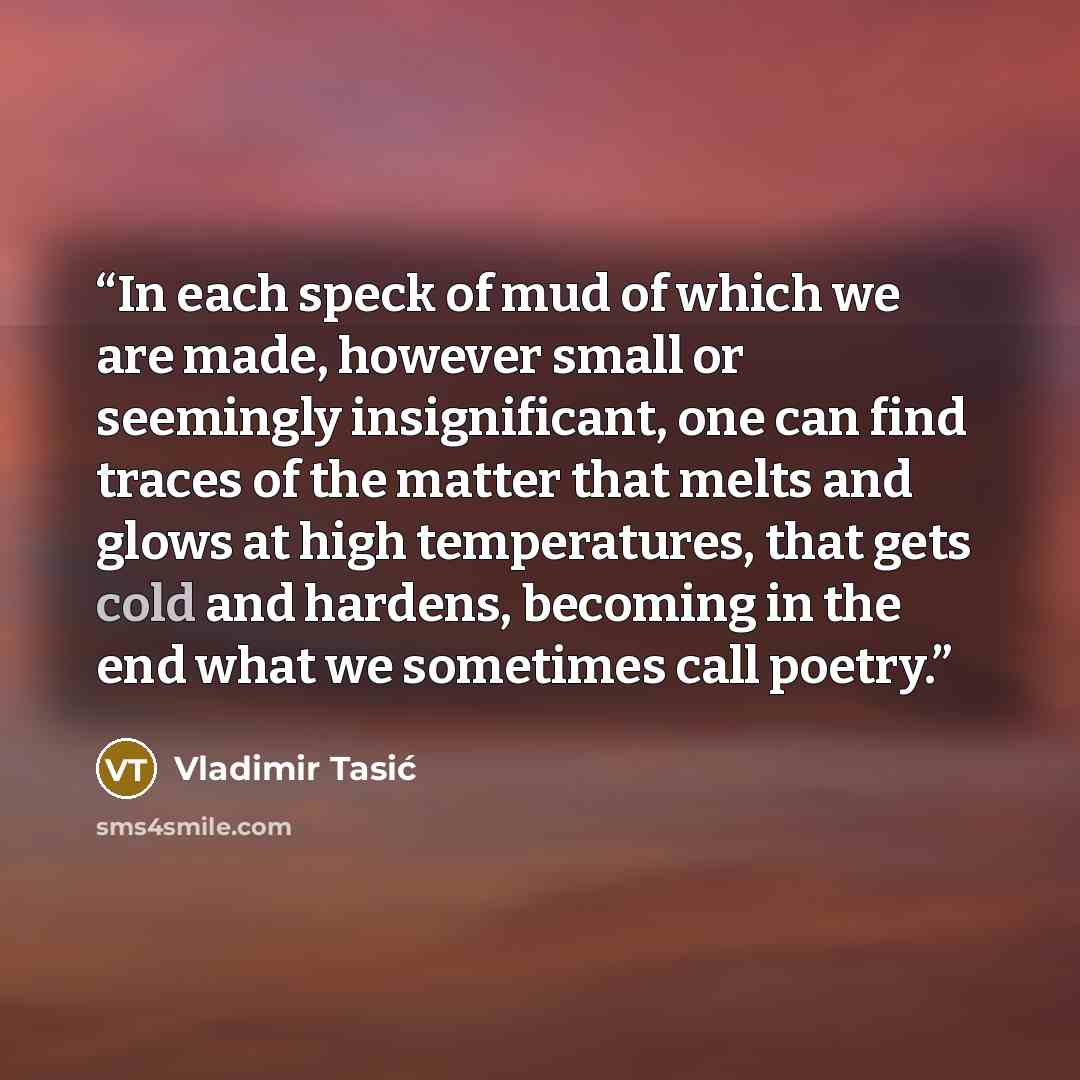“In each speck of mud of which we are made, however small or seemingly insignificant, one can find traces of the matter that melts and glows at high temperatures, that gets cold and hardens, becoming in the end what we sometimes call poetry.” quote by Vladimir Tasić