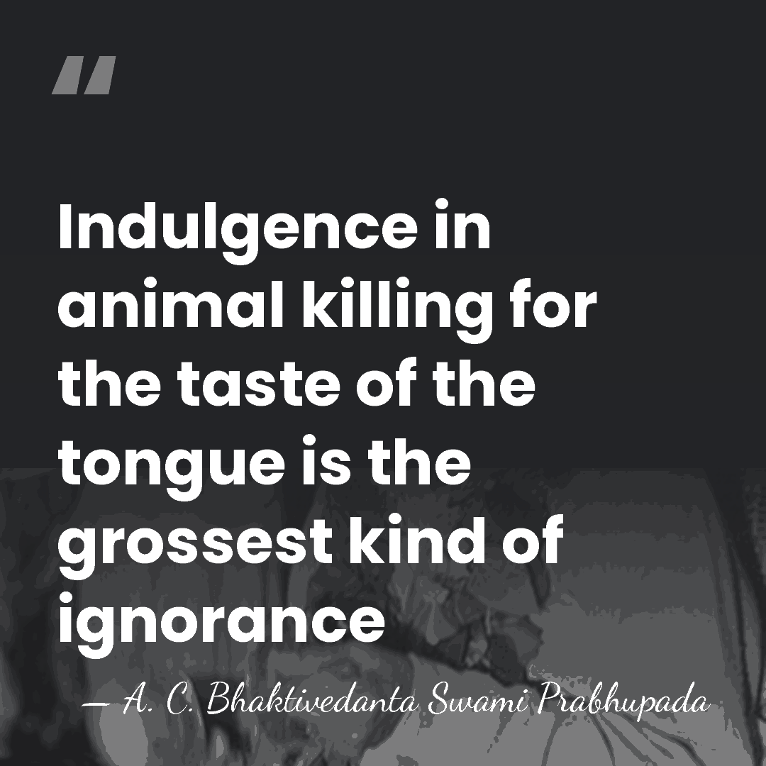 Indulgence in animal killing for the taste of the tongue is the&hellip; - A. C. Bhaktivedanta Swami Prabhupada