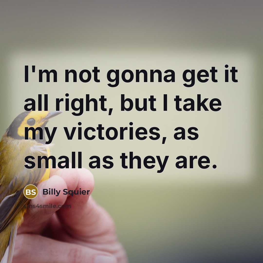 “I'm not gonna get it all right, but I take…” quote by Billy Squier