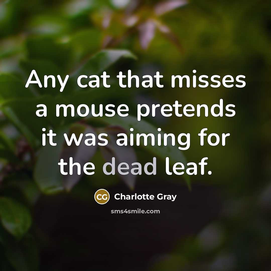 “Any cat that misses a mouse pretends it was aiming…” quote by Charlotte Gray