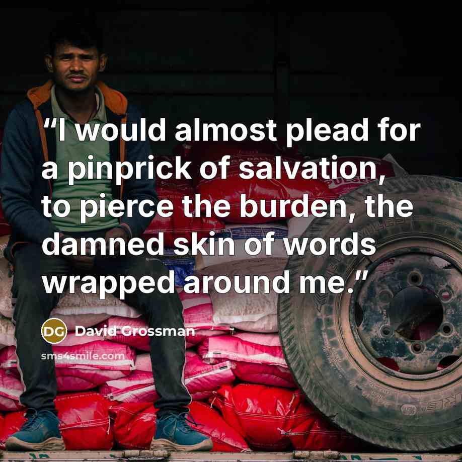 “I would almost plead for a pinprick of salvation, to pierce the burden, the damned skin of words wrapped around me.” quote by David Grossman
