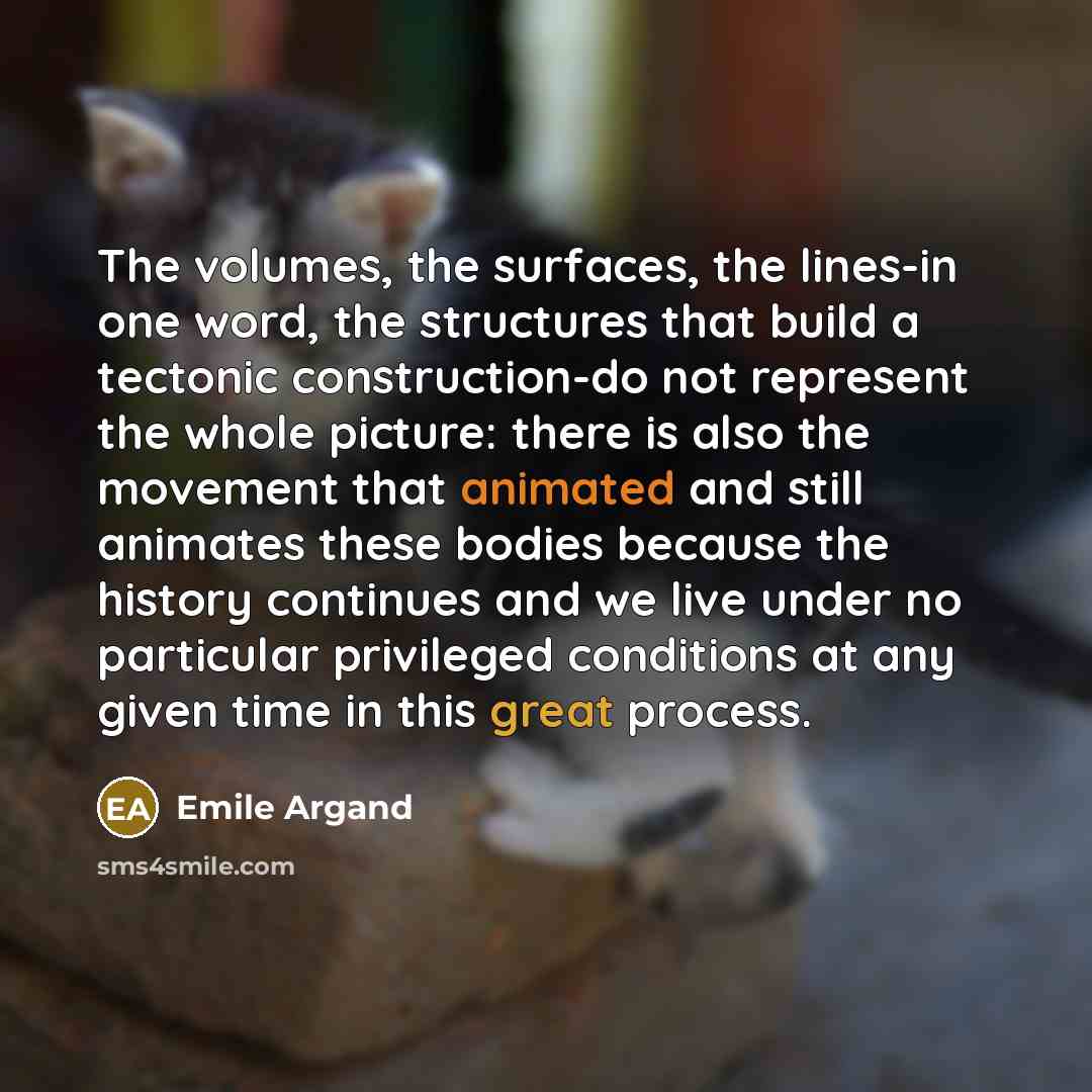 “The volumes, the surfaces, the lines-in one word, the structures…” quote by Emile Argand