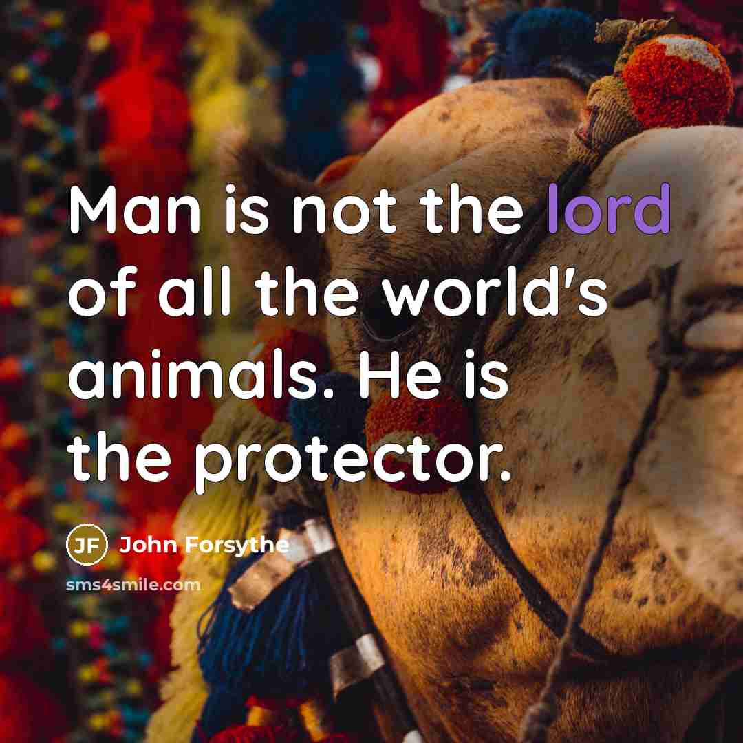 “Man is not the lord of all the world's animals.…” quote by John Forsythe