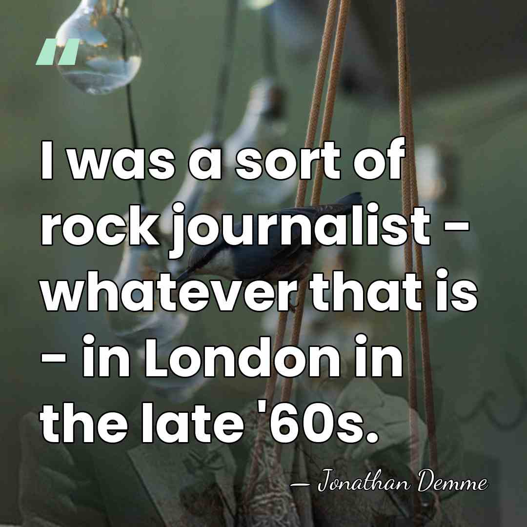 I was a sort of rock journalist - whatever that is -&hellip; - Jonathan Demme