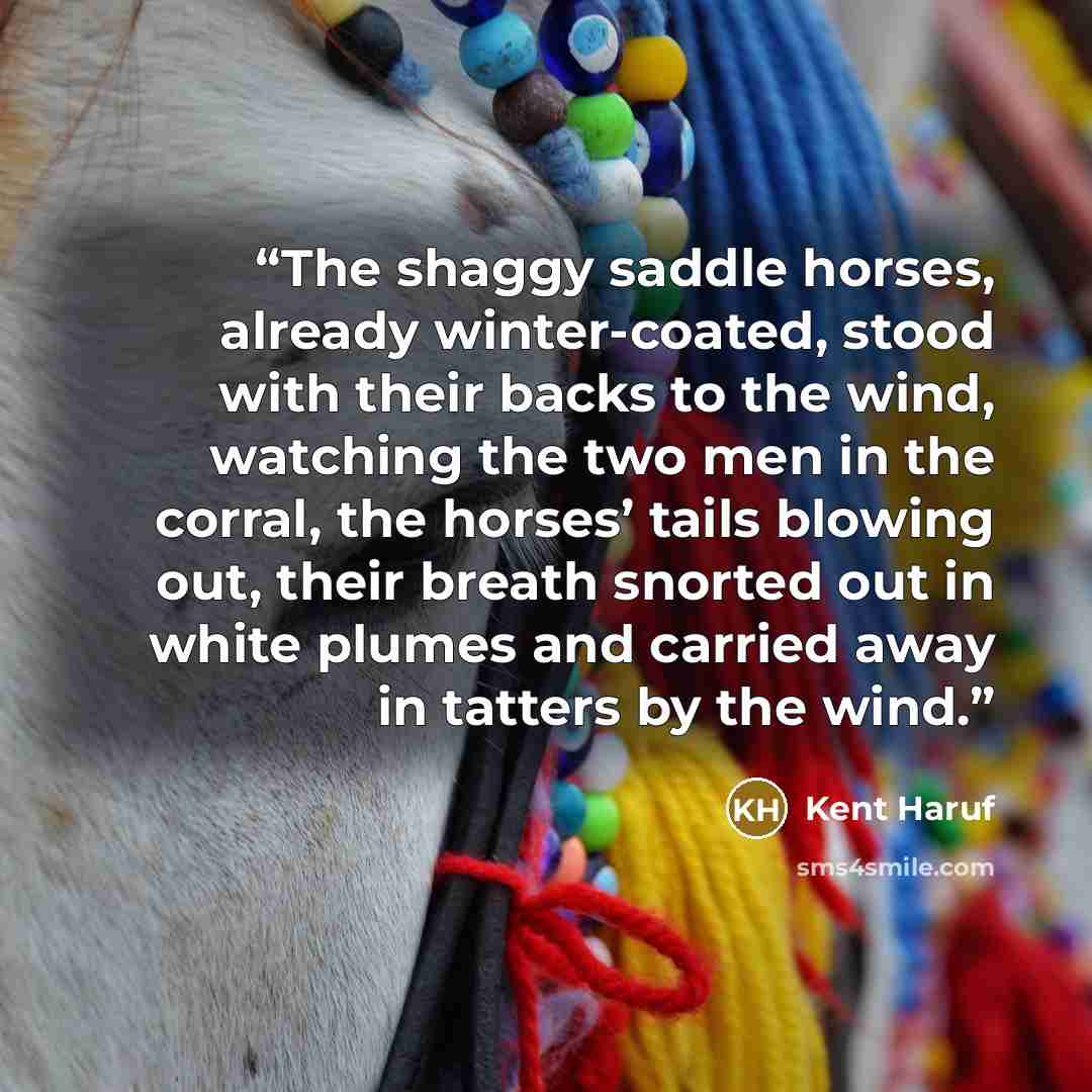 “The shaggy saddle horses, already winter-coated, stood with their backs to the wind, watching the two men in the corral, the horses’ tails blowing out, their breath snorted out in white plumes and carried away in tatters by the wind.” quote by Kent Haruf