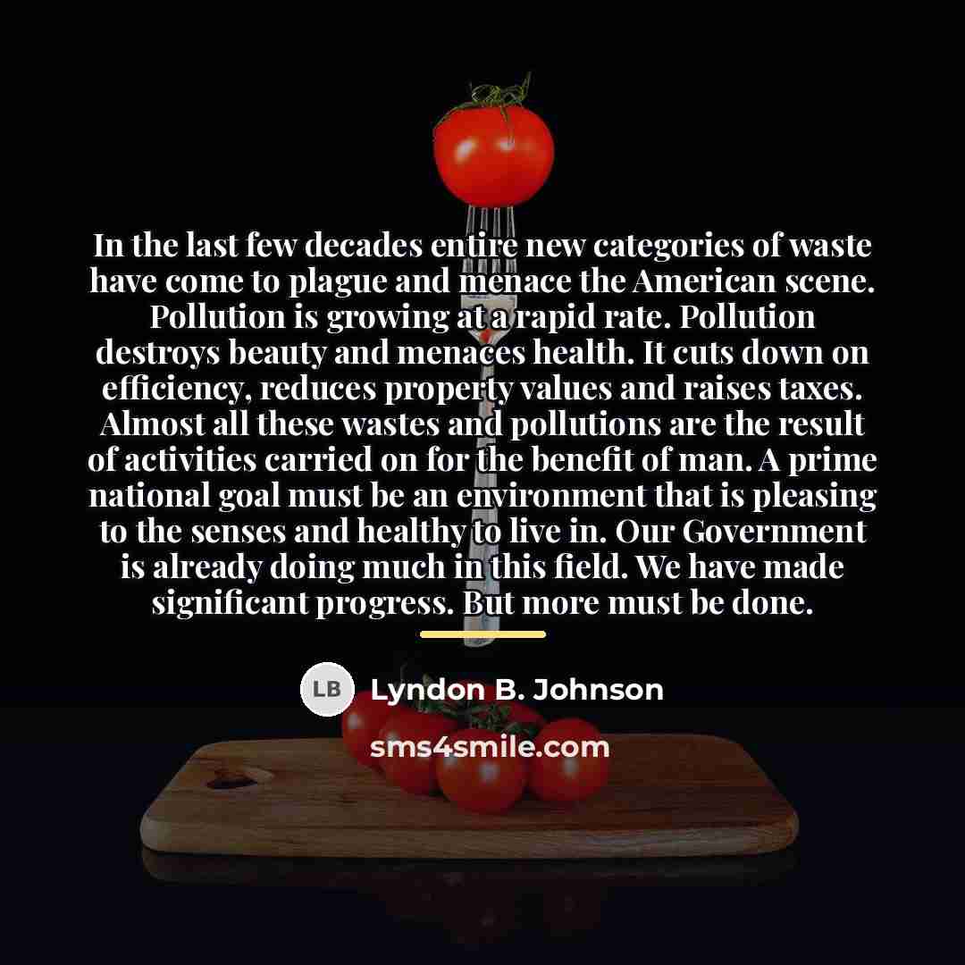 “In the last few decades entire new categories of waste…” quote by Lyndon B. Johnson