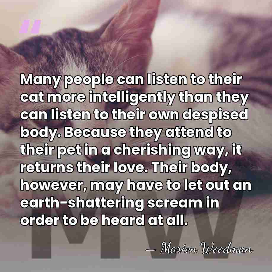 Many people can listen to their cat more intelligently than they can&hellip; - Marion Woodman