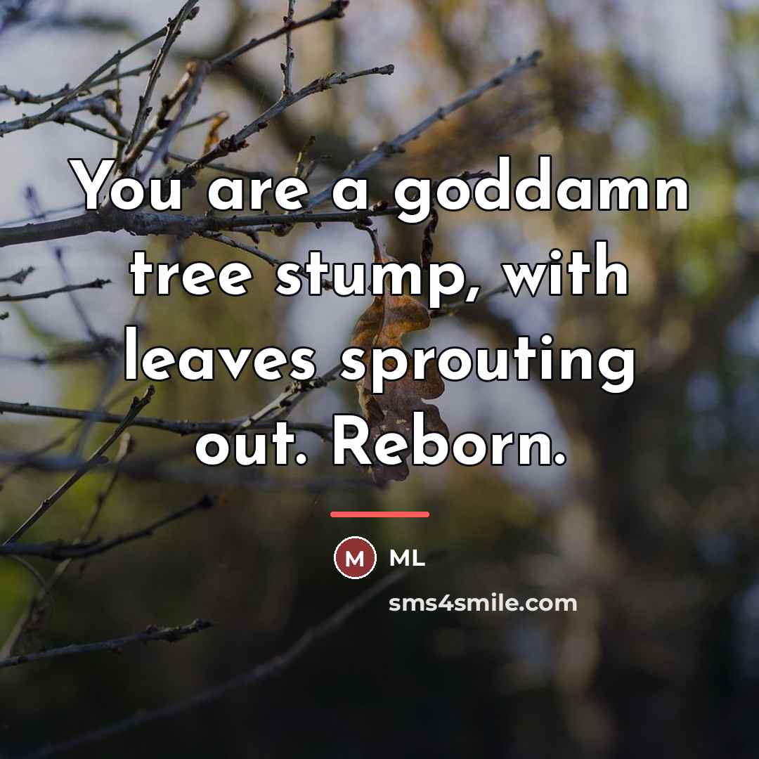 “You are a goddamn tree stump, with leaves sprouting out.…” quote by ML