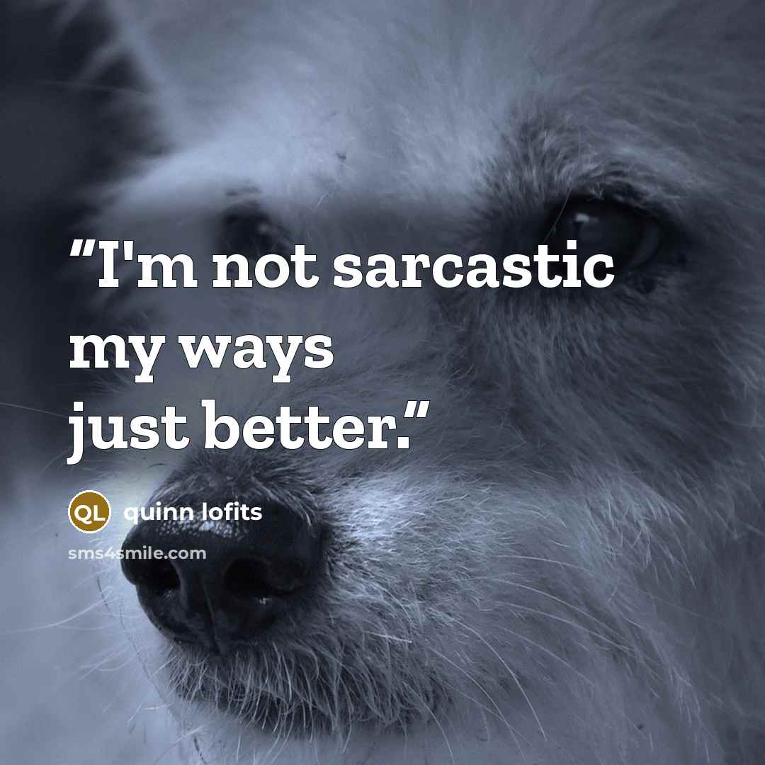 “I'm not sarcastic my ways just better.” quote by quinn lofits