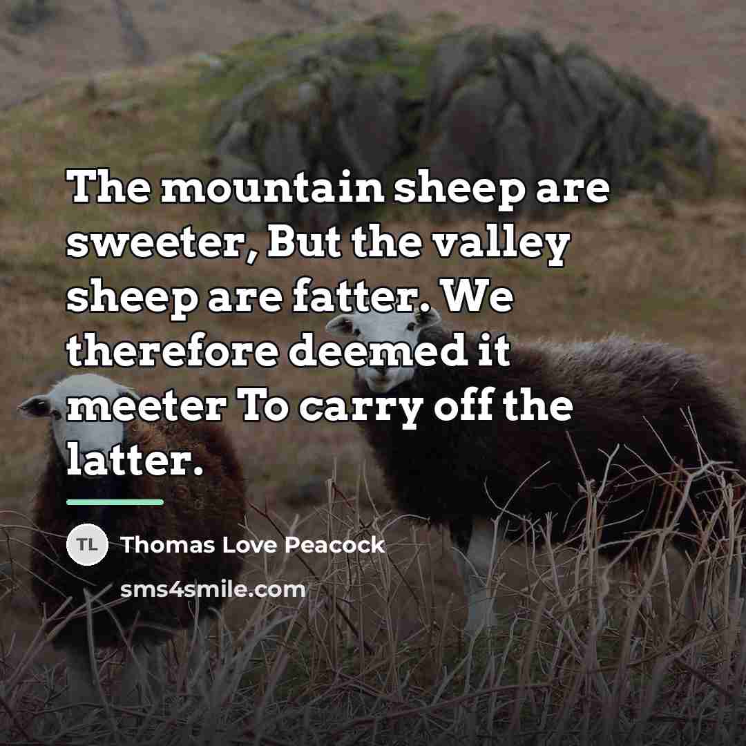 “The mountain sheep are sweeter, But the valley sheep are…” quote by Thomas Love Peacock
