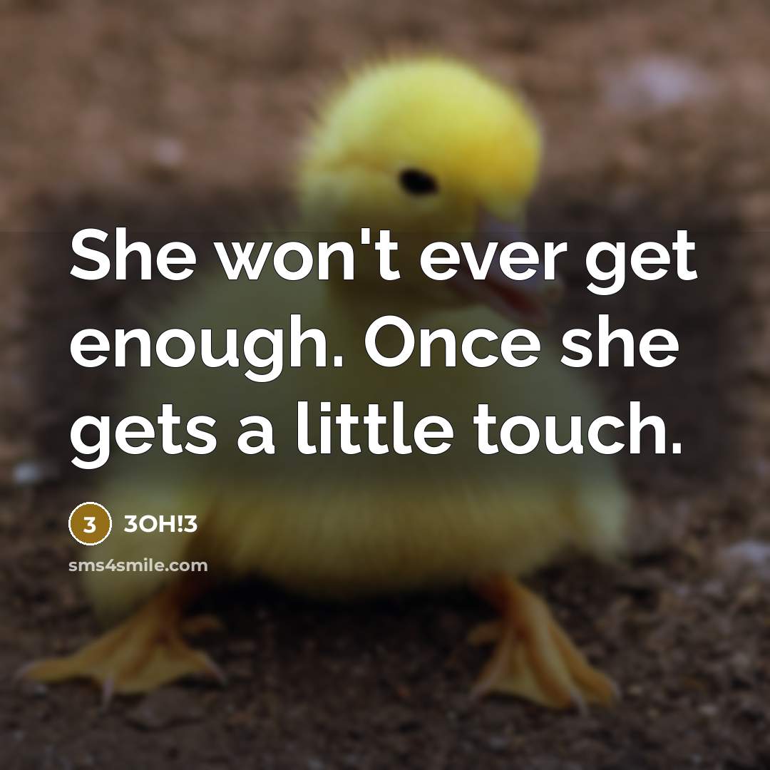 “She won't ever get enough. Once she gets a little touch.” quote by 3OH!3