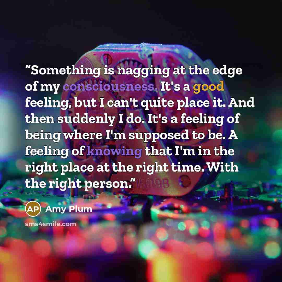 “Something is nagging at the edge of my consciousness. It's a good feeling, but I can't quite place it. And then suddenly I do. It's a feeling of being where I'm supposed to be. A feeling of knowing that I'm in the right place at the right time. With the right person.” quote by Amy Plum