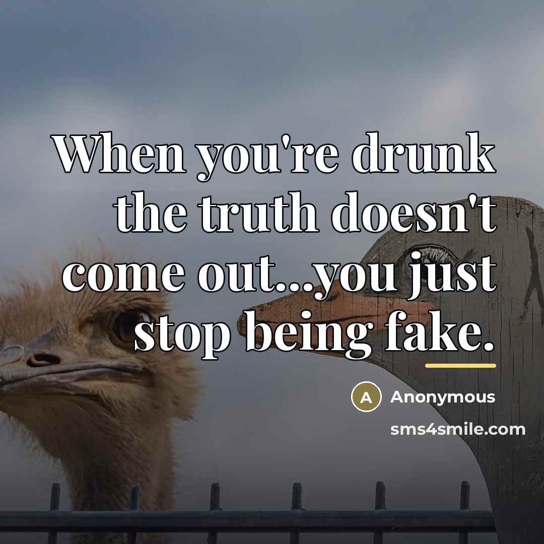 “When you're drunk the truth doesn't come out...you just stop…” quote by Anonymous