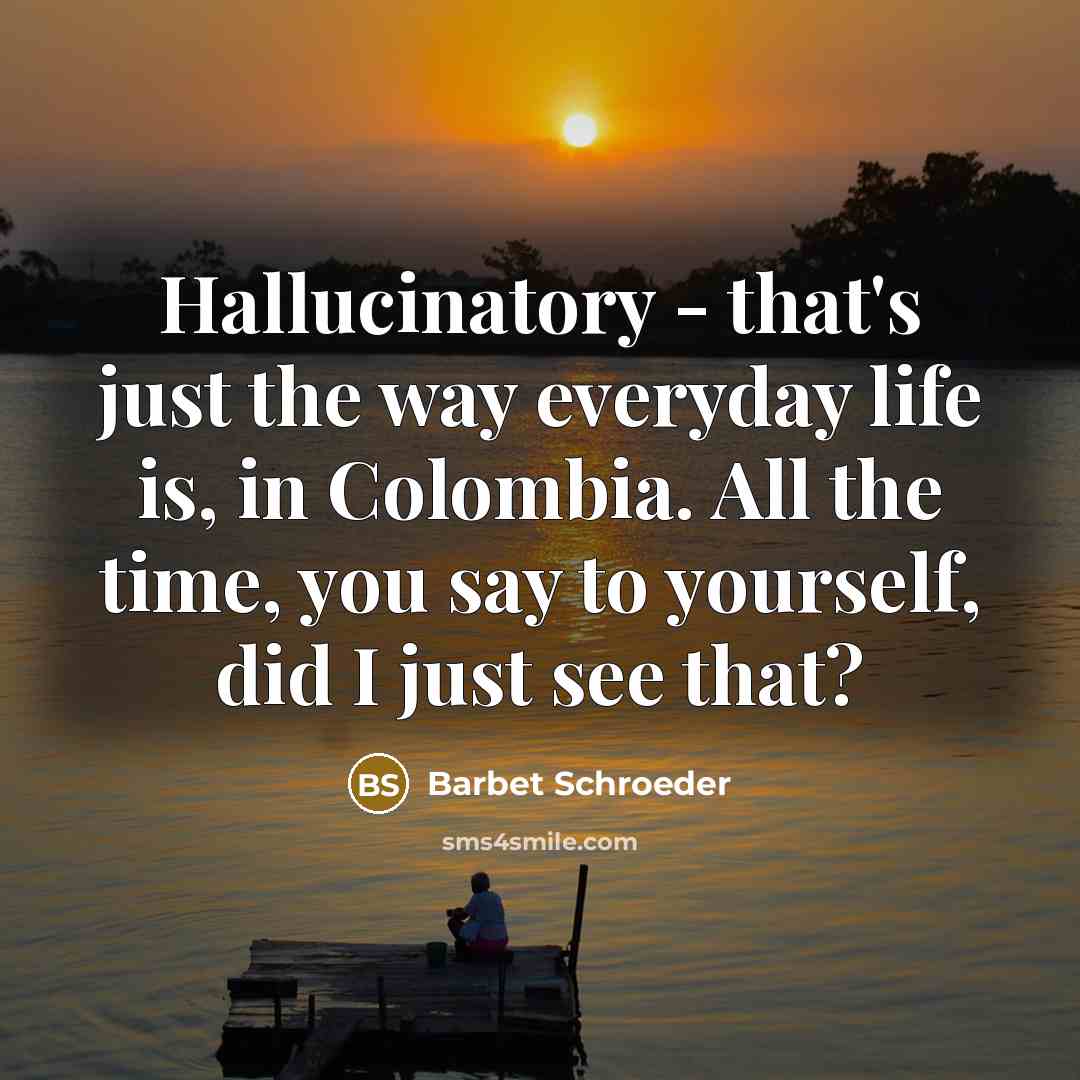 “Hallucinatory - that's just the way everyday life is, in…” quote by Barbet Schroeder