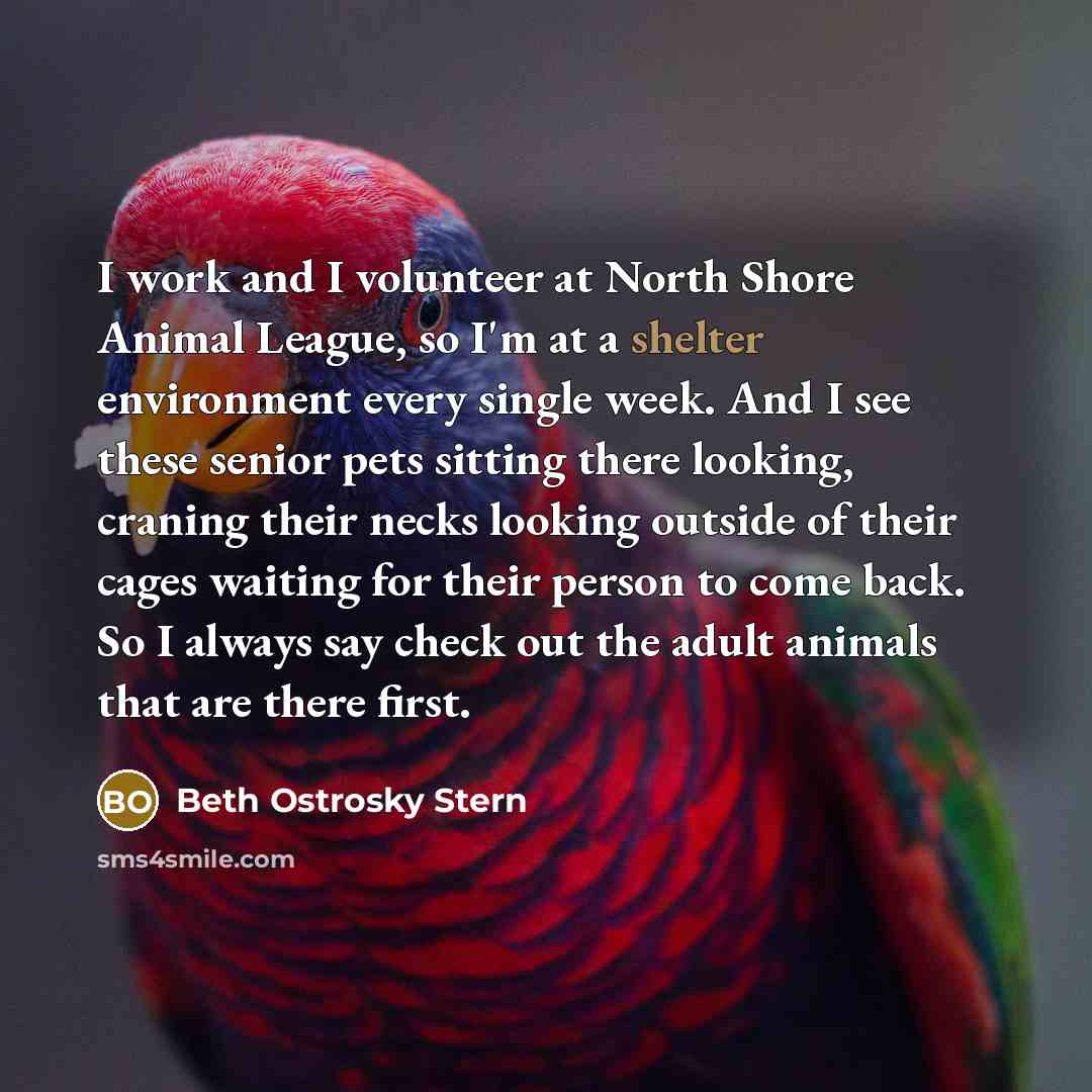 “I work and I volunteer at North Shore Animal League,…” quote by Beth Ostrosky Stern