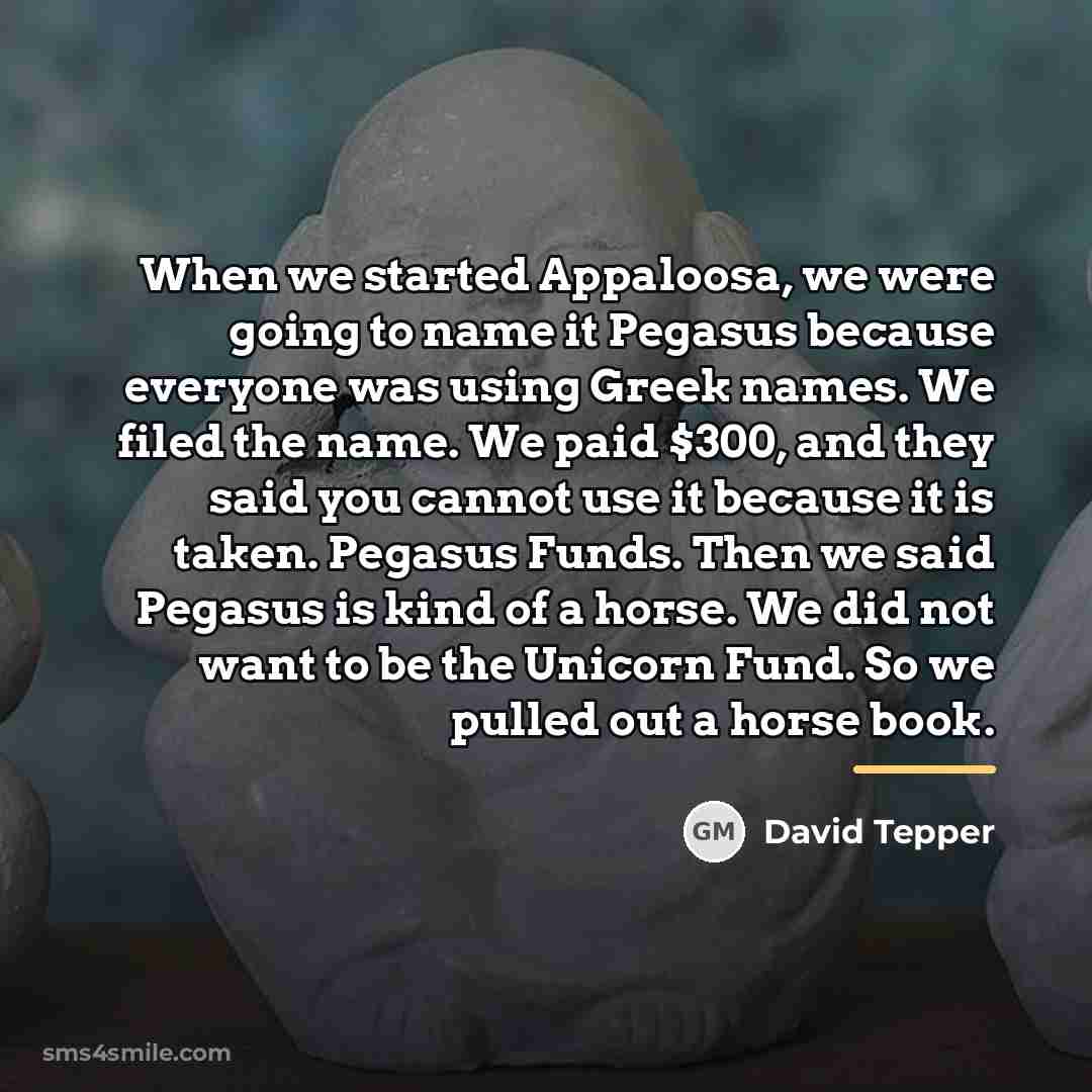 “When we started Appaloosa, we were going to name it…” quote by David Tepper
