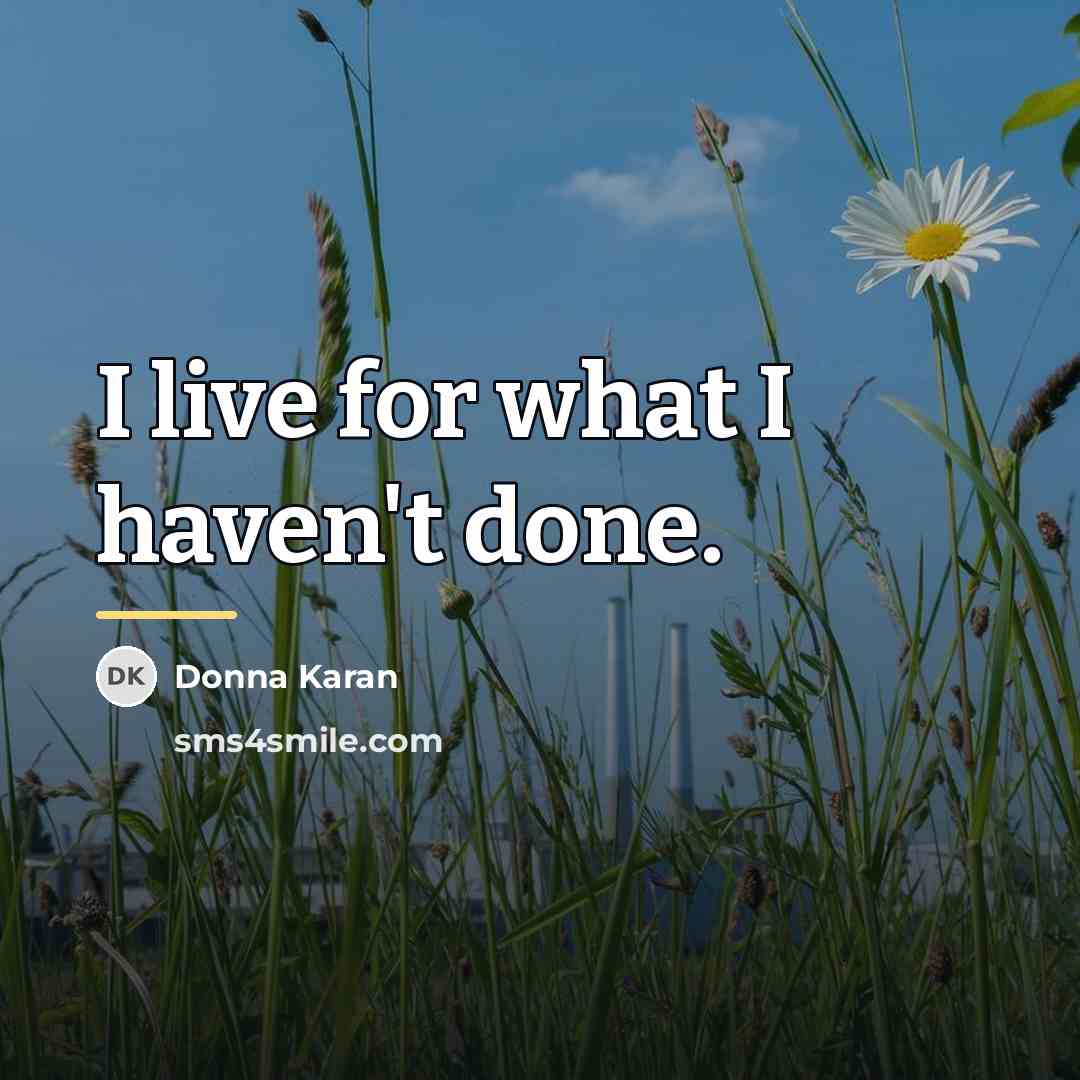 “I live for what I haven't done.…” quote by Donna Karan